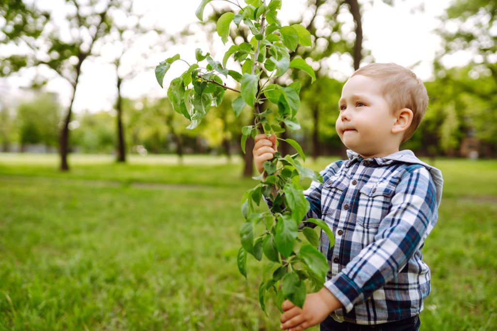 male child holding plant outside